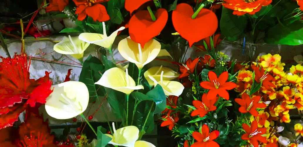 Pretty Flower Wallpaper Backgrounds